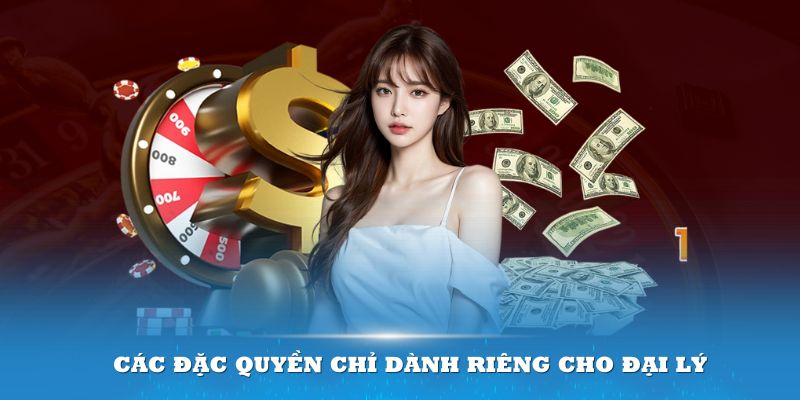 Các đặc quyền chỉ dành riêng cho đại lý 33win