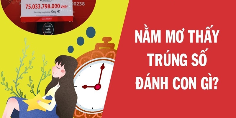 Những con số liên quan đến giấc mộng trúng số